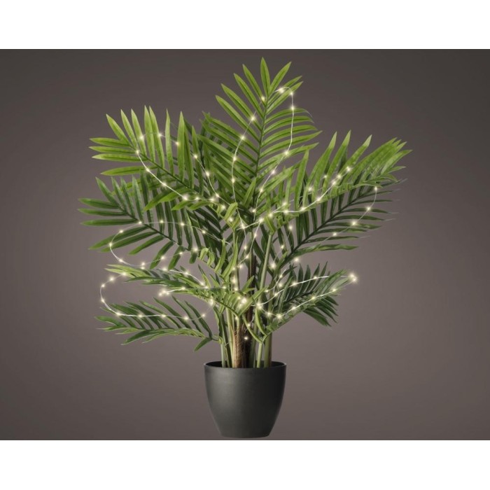 LUCI PER PIANTA H80 BIANCO CAL